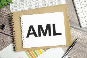 L'AML Survey 2024