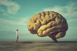 Breinproductiviteit & stress