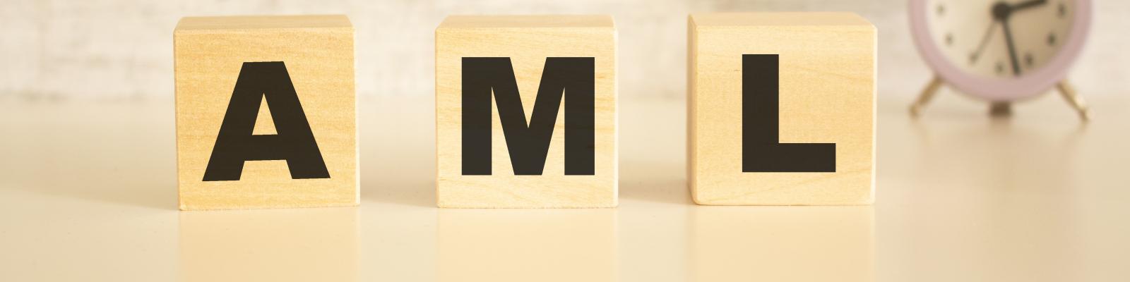 AML survey 2025